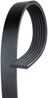 Banda de alternador (accesorios) Continental para Acura Mdx Tl Ford Five Hundred Focus Escape F250 Lobo Honda Accord Odyssey Pilot Ridgeline Mercury Mariner Volkswagen Eurovan = K060840 Gates