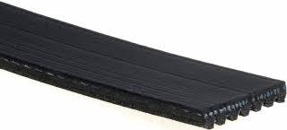 Banda de alternador (accesorios) Gates para Nissan Xterra V6 4.0L 05/07 Pathfinder V6 4.0L 05/12 Frontier V6 4.0L 05/15 NV2500 V6 4.0L 13/15 = K070873 Gates