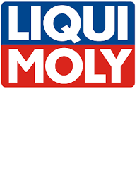 ADITIVO PARA GASOLINA LIQUI MOLY INJECTION REINIGER BOTE 300ml LIMPIA SISTEMA DE INYECCION ELECTRONICOS